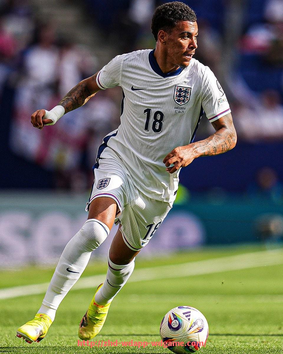 问鼎娱乐官网-2018年火箭队的精彩照片回顾与阵容分析