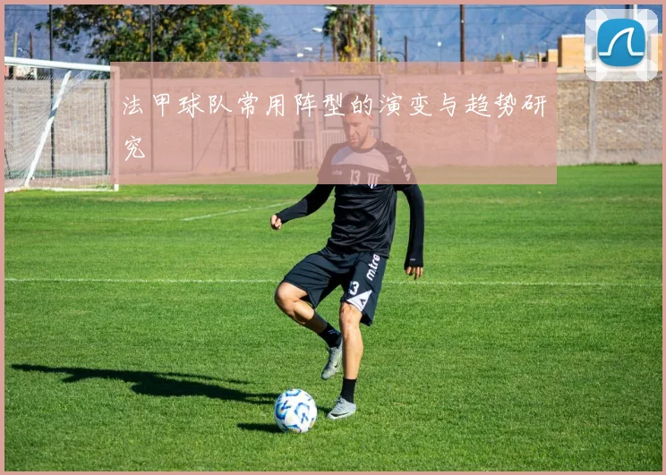 法甲球队常用阵型的演变与趋势研究