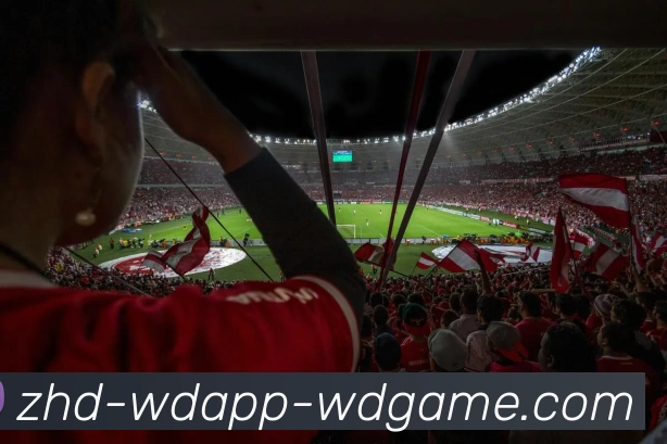 问鼎娱乐平台生态图