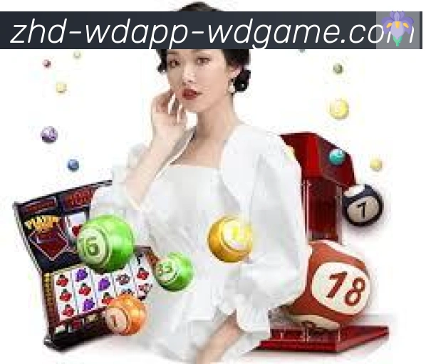互动解说服务